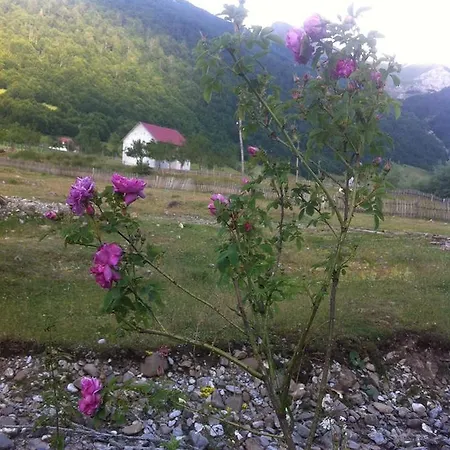 Bjeshket E Nemura Hotel *