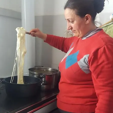Bjeshket E Nemura Hotel Lepushe