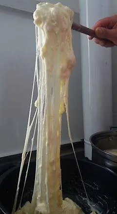 Bjeshket E Nemura * Lepushe
