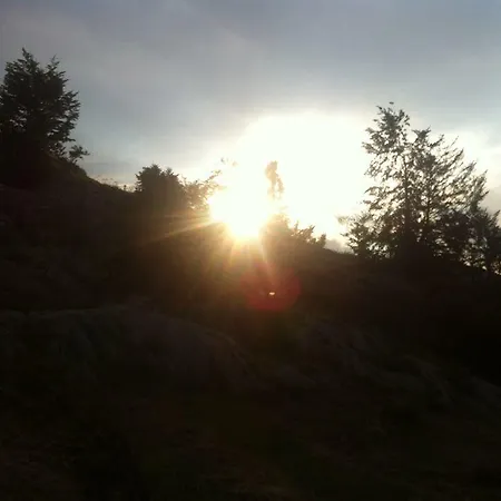 Bjeshket E Nemura *