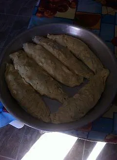 Bjeshket E Nemura Lepushe
